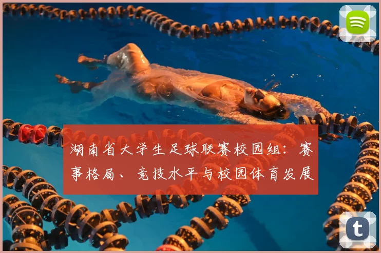湖南省大学生足球联赛校园组：赛事格局、竞技水平与校园体育发展深度解析_20260613172912