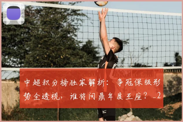 中超积分榜独家解析：争冠保级形势全透视，谁将问鼎年度王座？_20260610190457