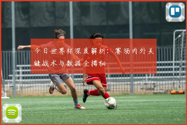 今日世界杯深度解析：赛场内外关键战术与数据全揭秘