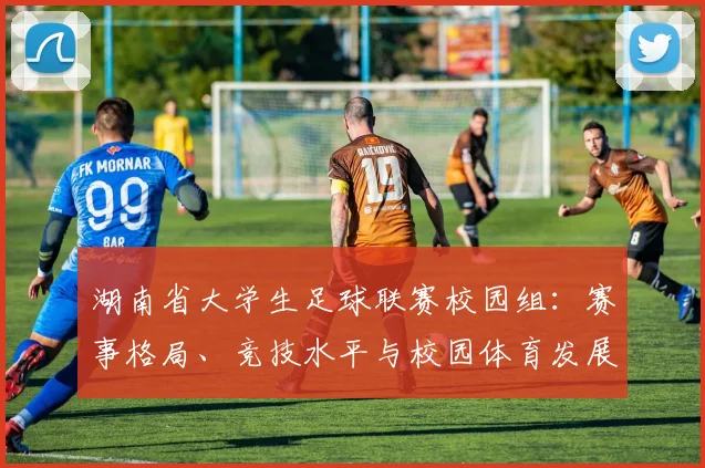 湖南省大学生足球联赛校园组:赛事格局、竞技水平与校园体育发展深度解析_20260613172912