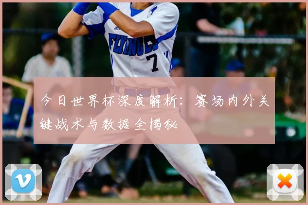 今日世界杯深度解析:赛场内外关键战术与数据全揭秘